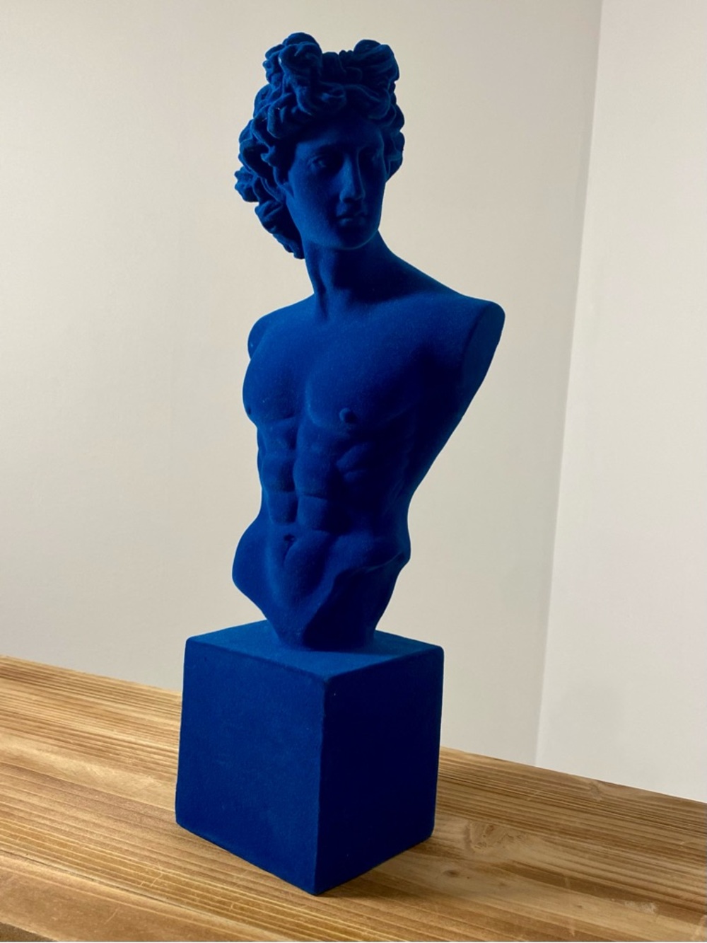 Flocked Michelangelo’s David